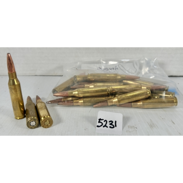 AMMO: 23X .260 REMINGTON SP 