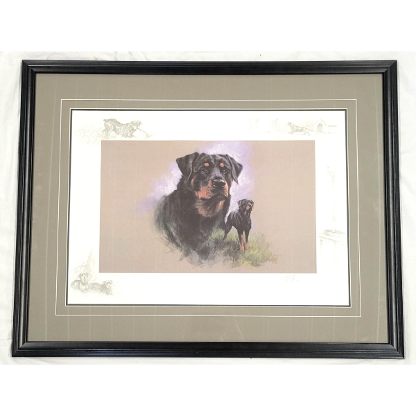 ROTTWEILER STUDY BY SALLY MITCHELL (PRS CDN ARTIST) - FRAMED PRINT 