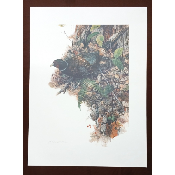 "SHARP-TAILED GROUSE" BY GEORGE MCLEAN (PRS CDN ARTIST) - PRINT