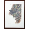 Image 1 : "SHARP-TAILED GROUSE" BY GEORGE MCLEAN (PRS CDN ARTIST) - PRINT