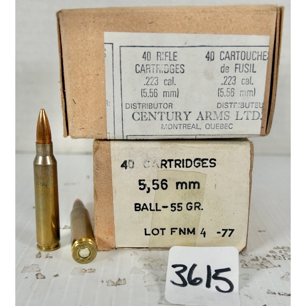 AMMO: 80X 5.56X45 MM - 55 GR FMJ