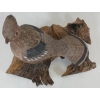 Image 7 : 1997 RUFFED GROUSE - SIGNED