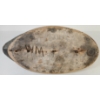 Image 5 : GOLDEN EYED DECOY DUCK - SIGNED W.M.