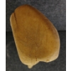 Image 4 : TOTEM - SIGNED - BONE