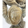 Image 3 : SEDNA BY BART HANNA - STONE