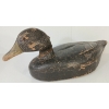 Image 1 : RED EYED DECOY DUCK 