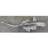 Image 3 : LOUIS LEJEUNE SALMON CHROME HOOD ORNAMENT
