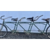 Image 2 : THREE SEAT BICYCLE 