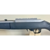 Image 2 : RUGER 10/22 TAKEDOWN IN .22 LR 