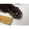 Image 2 : ALASKIAN WOLVERINE - VERY GOOD CONDITION