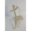 Image 5 : DRUMMER BY UNKNOWN ARTIST - ANTLER