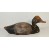 Image 3 : GOLDEN EYED DUCK DECOY BY ACE HELMER