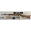 Image 1 : RUGER MODEL 10/22 .22 LR