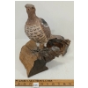 Image 2 : 1997 RUFFED GROUSE - SIGNED