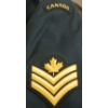 Image 3 : CANADIAN ARMED FORCES DISTINCTIVE ENVIRONMENTAL UNIFORM - INCL COAT, SHIRT, PANTS & TIES