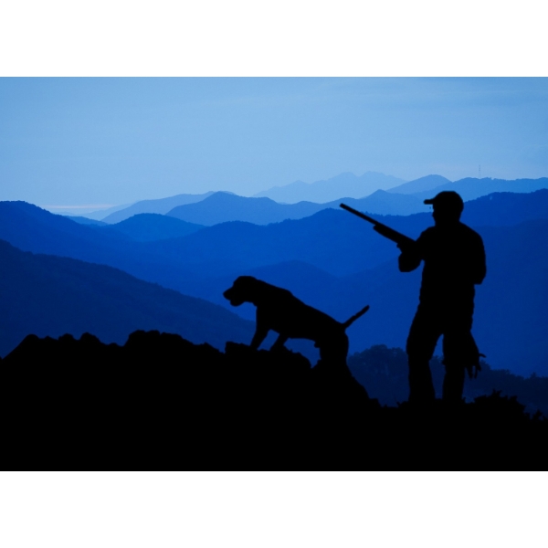 ARE YOU SURE THAT'S EVERYTHING?