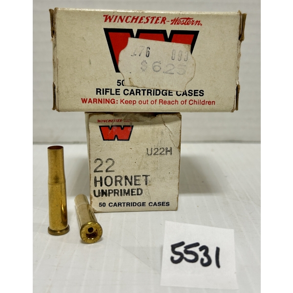 BRASS: 100X .22 HORNET 