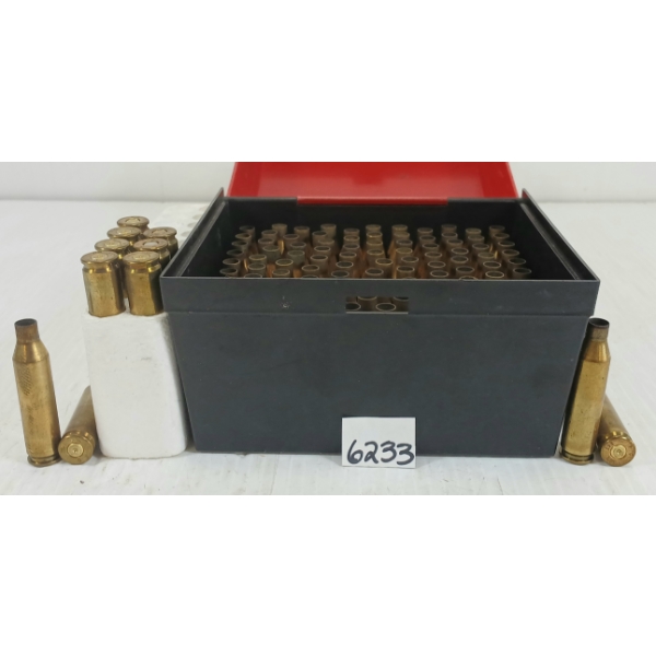 BRASS: 110X .243 WIN