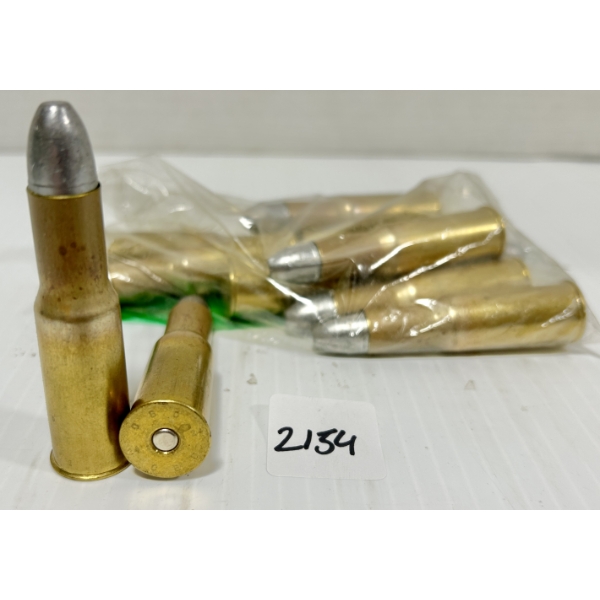 AMMO: 10X .577-450 MARTINI-HENRY - 500 GR LRN