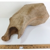 Image 3 : VINTAGE WOOSTERLINE PAPER MACHE TAXIDERMY FORM