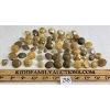 Image 1 : QTY OF MILITARY BUTTONS - INCL 1ST PUNJAB REG'T, ROYAL GRENADIERS, ETC