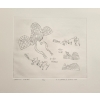 Image 2 : "FAMILIES MOVING" BY ESAU ELGAYAK - ENGRAVING 