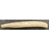 Image 3 : WHALE - SIGNED - BONE