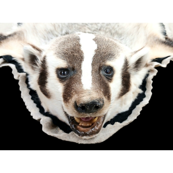 BADGER SKIN RUG