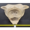 Image 2 : BOAR HEAD - SIGNED - BONE