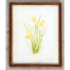 Image 1 : DAFFODILS BY M. ELLIOTT- FRAMED PRINT