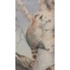 Image 2 : FAMILY OF RACCOONS BY LIZ LESPERANCE (PRS CDN ARTIST) - FRAMED PRINT