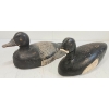 Image 1 : LOT OF 2 - BLUEBILL DUCK DECOYS