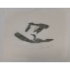 Image 2 : 1976 "FEEDING LOONS" BY DAVIDIALUK / LEAH QUMALUK - STONECUT