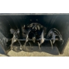 Image 2 : MTD GOLD 28 INCH SNOW BLOWER - MIN USE - WORKING