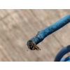 Image 6 : LOT OF 3 - WIRE SPOOLS 