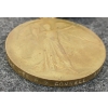 Image 3 : WWI CDN VICTORY MEDAL