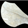Image 3 : SPIRIT FIGURE BY UNKNOWN ARTIST - BONE