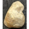Image 6 : PELVIS - GAME BONE
