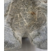 Image 9 : WOMAN BY SUGLUK - STONE