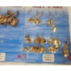 Image 4 : LOT OF 14 - FISHING LURES - INCL LUCKY STRIKE & BLUE FOX, ETC