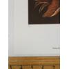 Image 3 : "MUSHROOMS IN GREEN" BY CHRISTINE MARSHALL (PRS CDN ARTIST) - LITHO PRINT