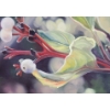Image 5 : "BERRIES ALONG THE LAKE ROAD" BY LINDA HETHERINGTON (PRS CDN ARTIST) - FRAMED OIL ON CANVAS