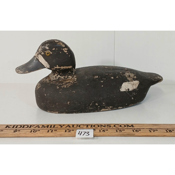 GOLDEN EYED DECOY DUCK BY ADAM BROWN