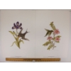 712  LOT OF 2  SPRING CAMEO COLLECTION BY CHRISTINE MARSHALL (PRS CDN ARTIST)  LITHO PRINTS