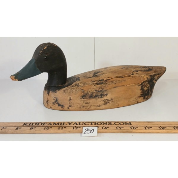 BLUEBILLED DUCK DECOY