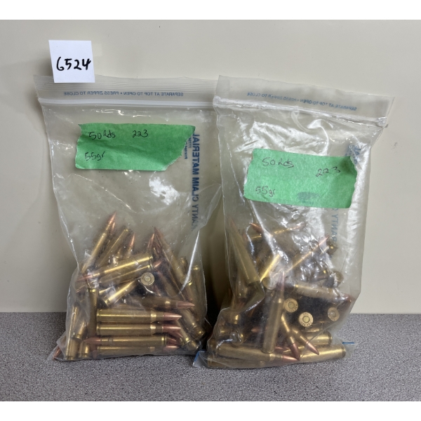 AMMO: 100X DNL .223 REM 55GR. FMJ 