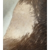Image 4 : IKEA KOLDBY COWHIDE RUG