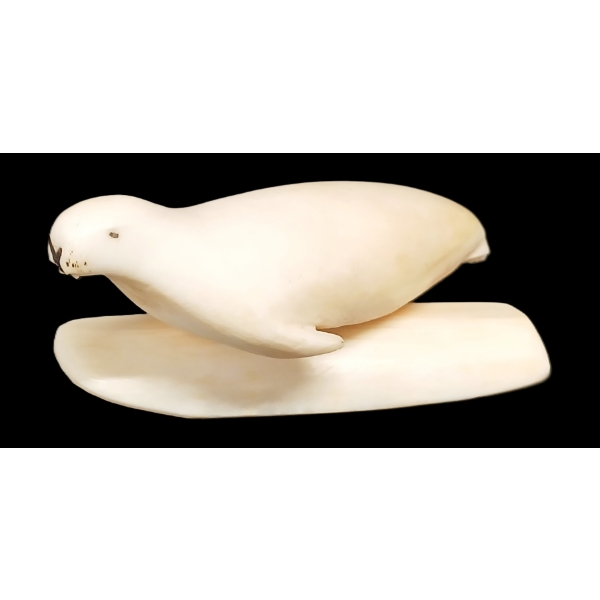 RESTING WALRUS BY UNKNOWN ARTIST - BONE