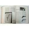 Image 5 : LOT OF 7 - MILITARY PUBLICATIONS & BOOKS - "CIVIL WAR GUNS", "RIFLE BAYONET FIGHTING", ETC