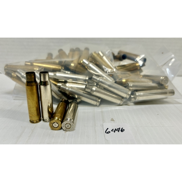 BRASS: APPROX. 60X MIXED .308 WIN